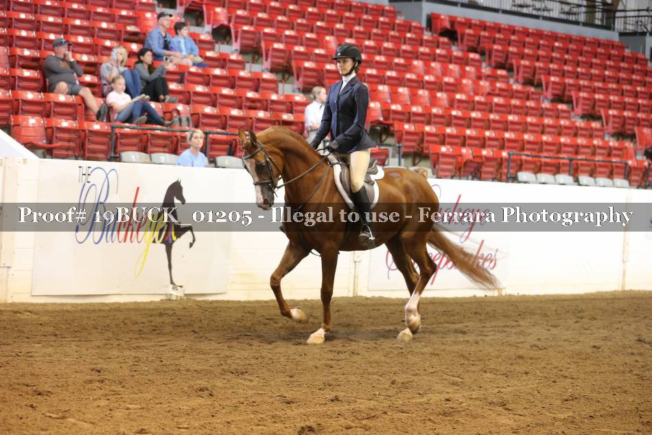 Proof 19BUCK_01205