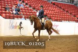 19BUCK_01205 proof