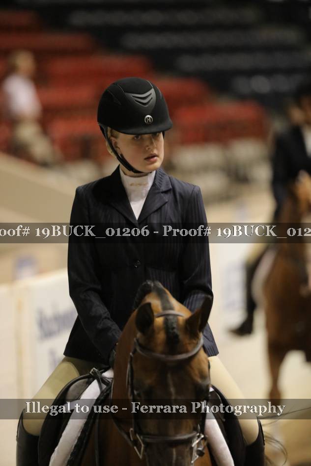 Proof 19BUCK_01206