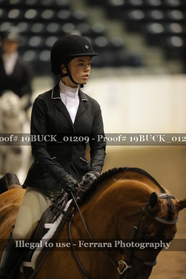 Proof 19BUCK_01209