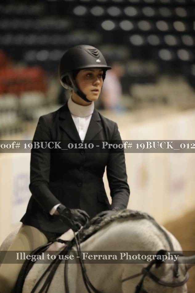 Proof 19BUCK_01210