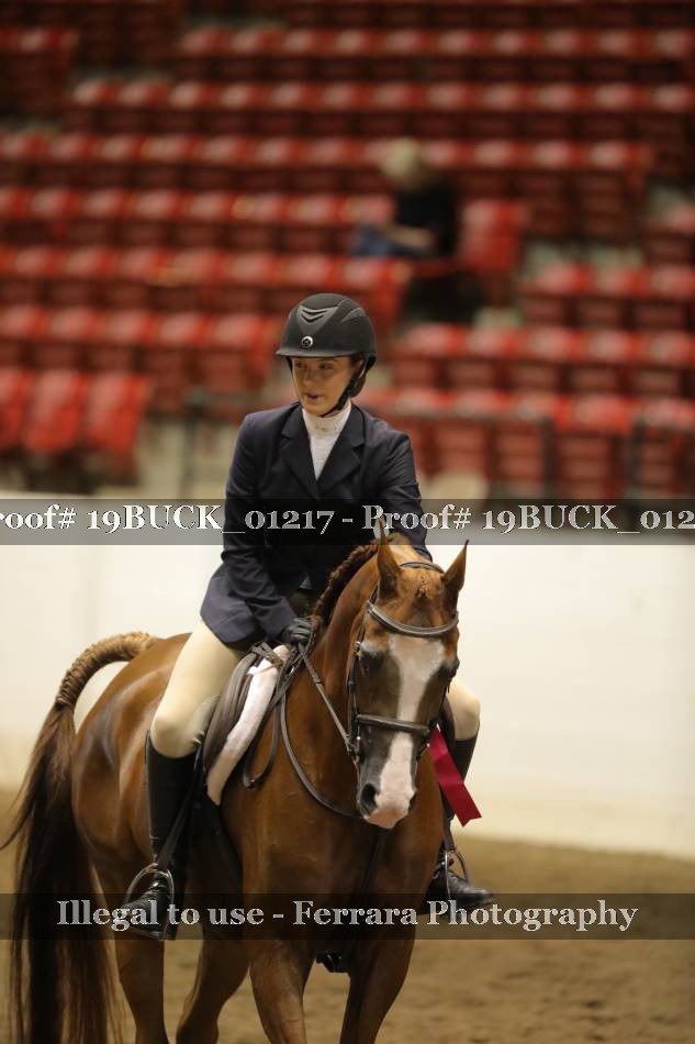 Proof 19BUCK_01217