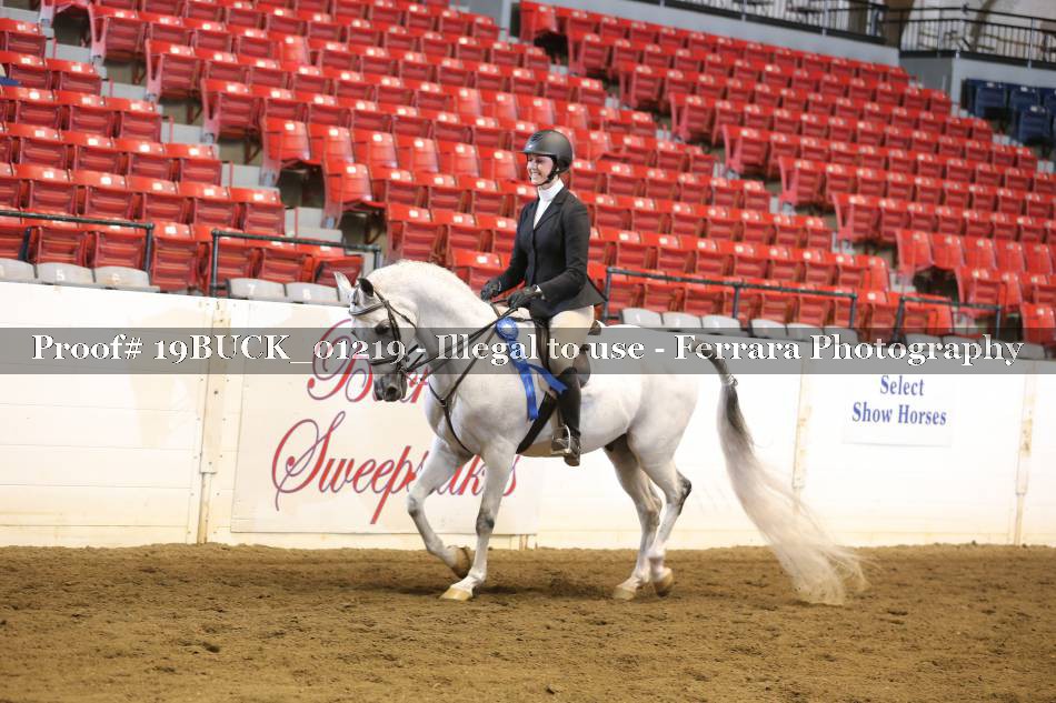 Proof 19BUCK_01219