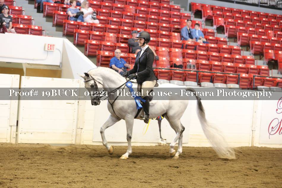 Proof 19BUCK_01221