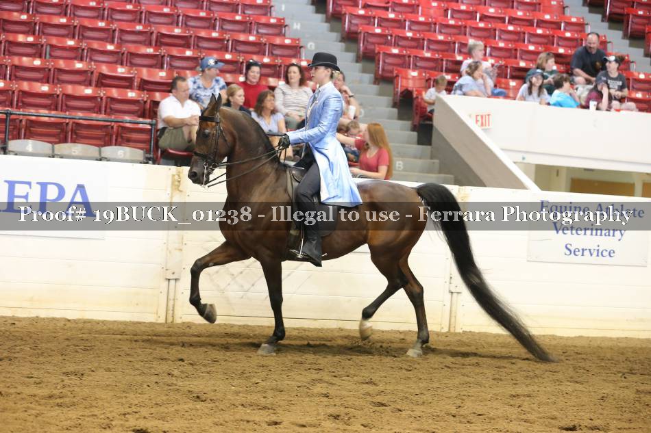 Proof 19BUCK_01238