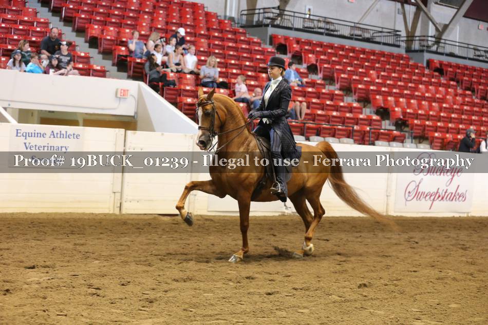 Proof 19BUCK_01239