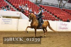 19BUCK_01239 proof