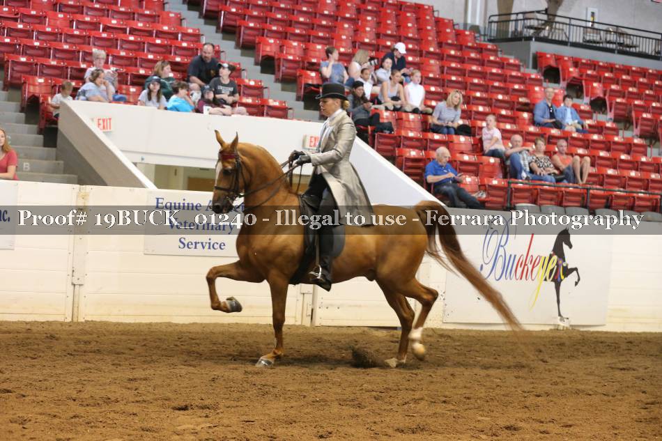 Proof 19BUCK_01240