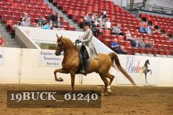 19BUCK_01240 proof