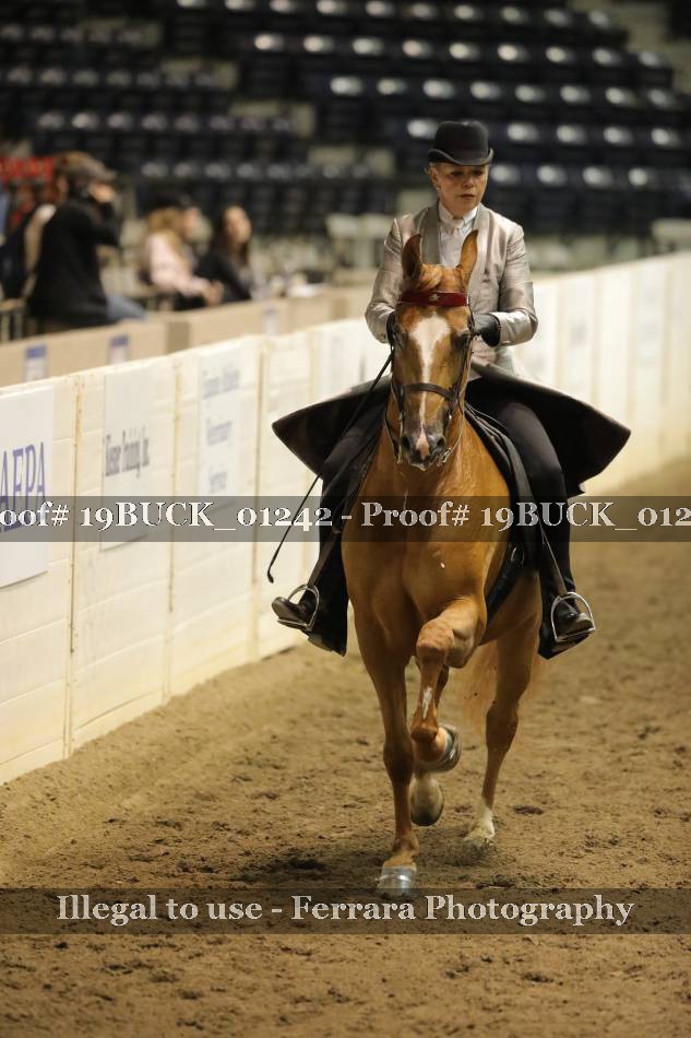 Proof 19BUCK_01242