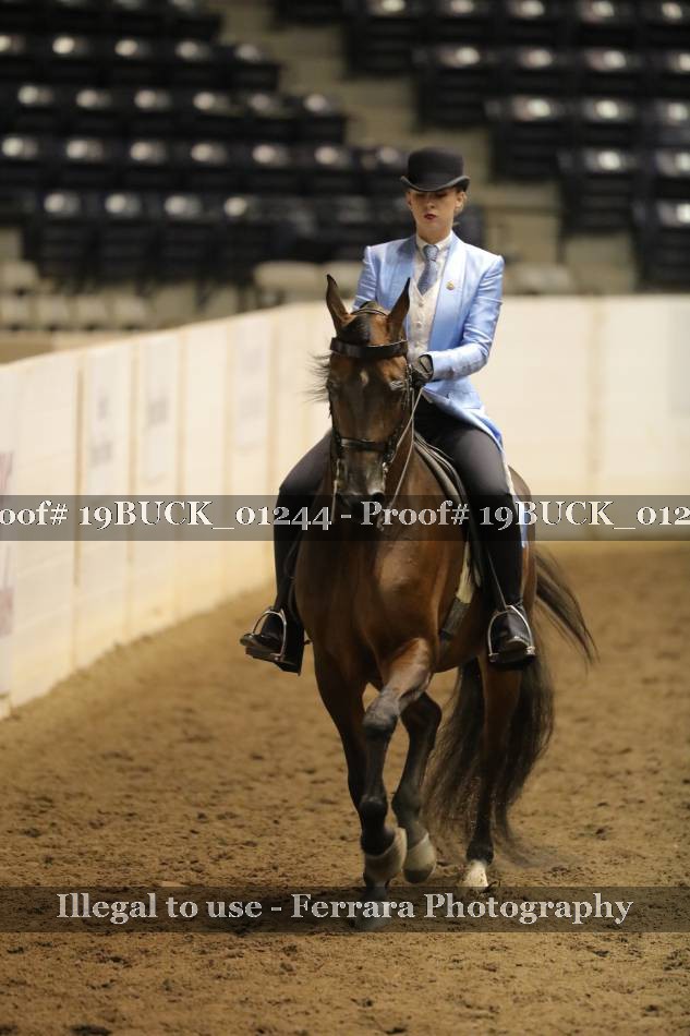 Proof 19BUCK_01244