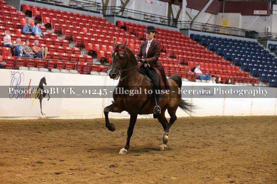 Proof 19BUCK_01245