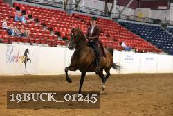 19BUCK_01245 proof