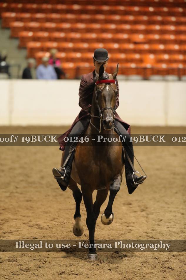 Proof 19BUCK_01246