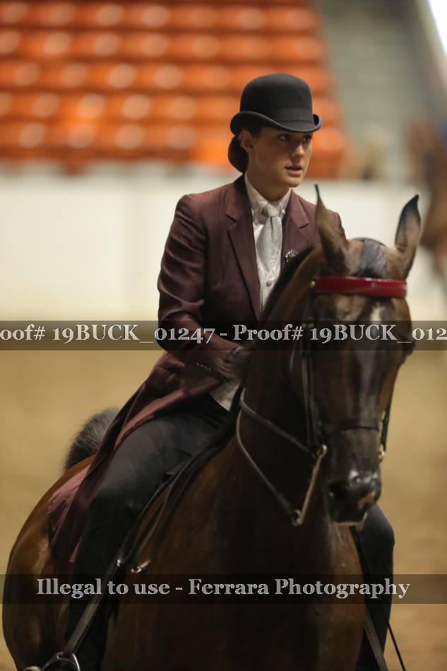 Proof 19BUCK_01247