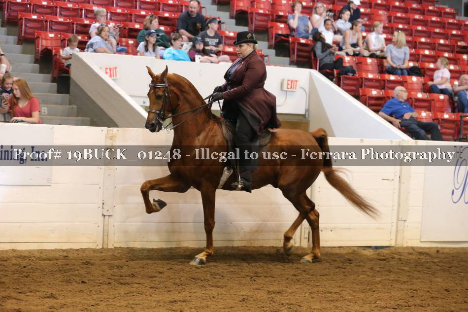 Proof 19BUCK_01248