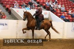 19BUCK_01248 proof