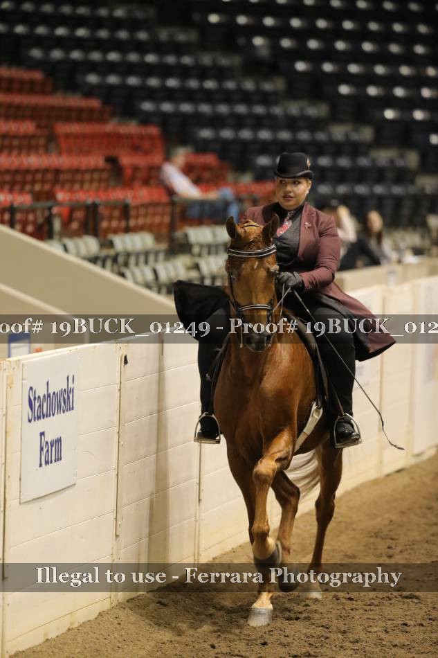 Proof 19BUCK_01249
