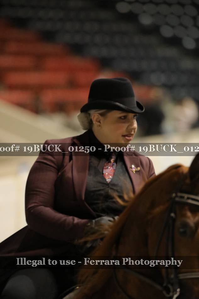 Proof 19BUCK_01250