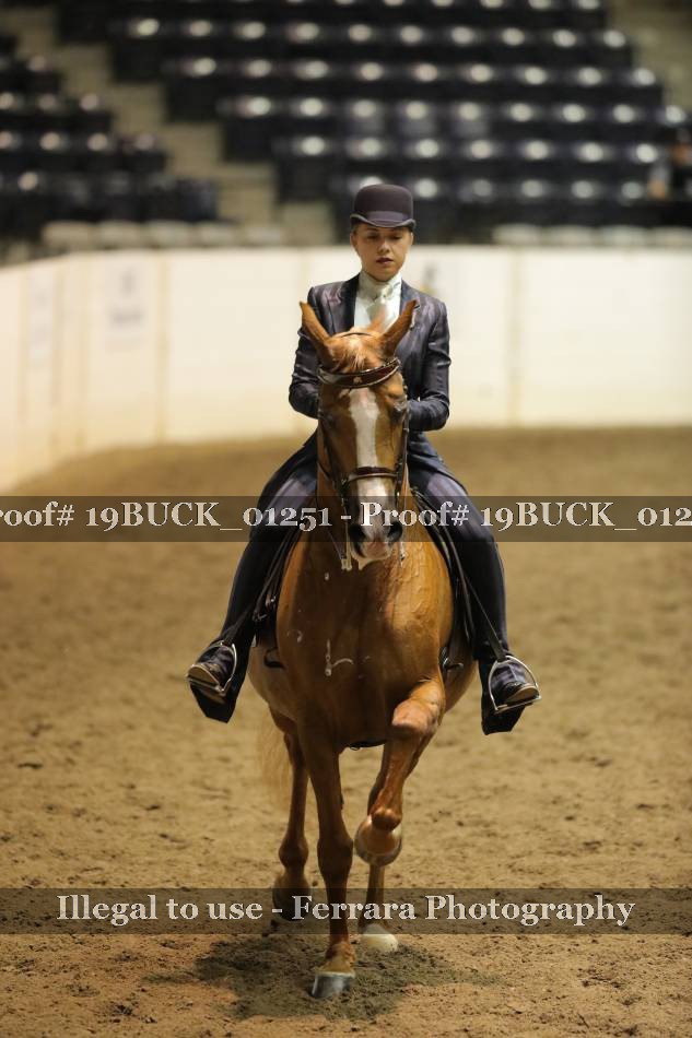 Proof 19BUCK_01251