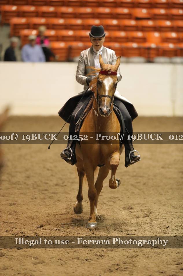 Proof 19BUCK_01252