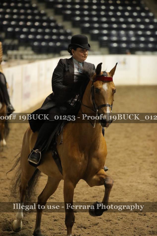 Proof 19BUCK_01253