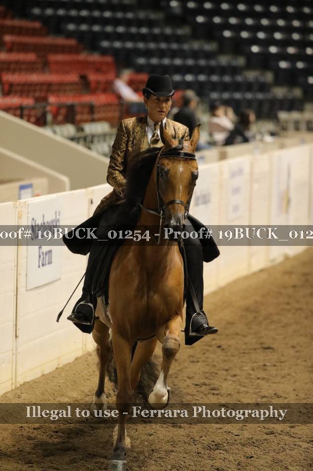 Proof 19BUCK_01254