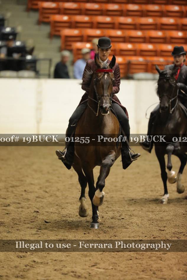 Proof 19BUCK_01255