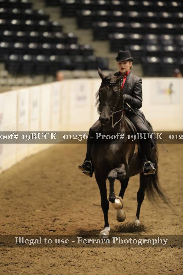 Proof 19BUCK_01256