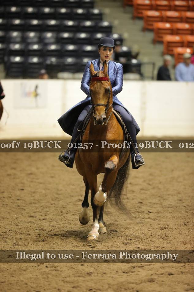 Proof 19BUCK_01257