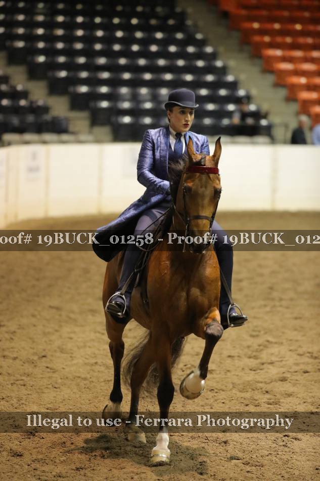 Proof 19BUCK_01258
