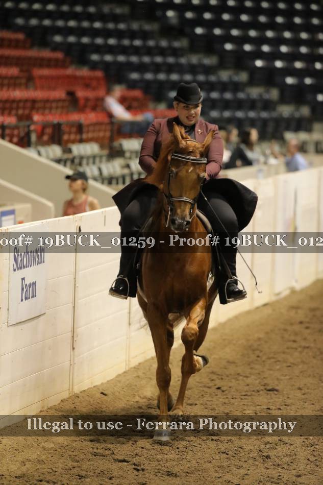 Proof 19BUCK_01259
