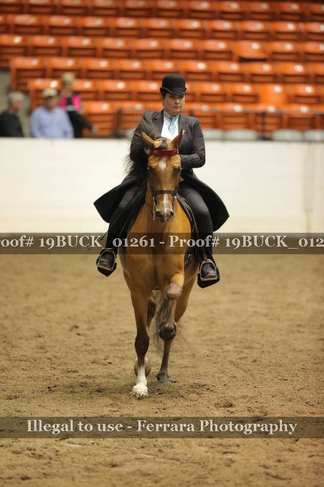 Proof 19BUCK_01261