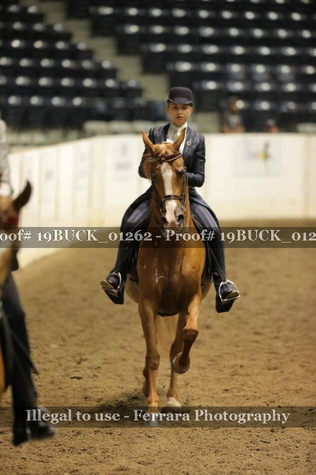 Proof 19BUCK_01262