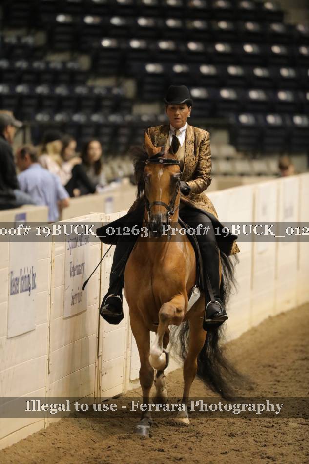 Proof 19BUCK_01263