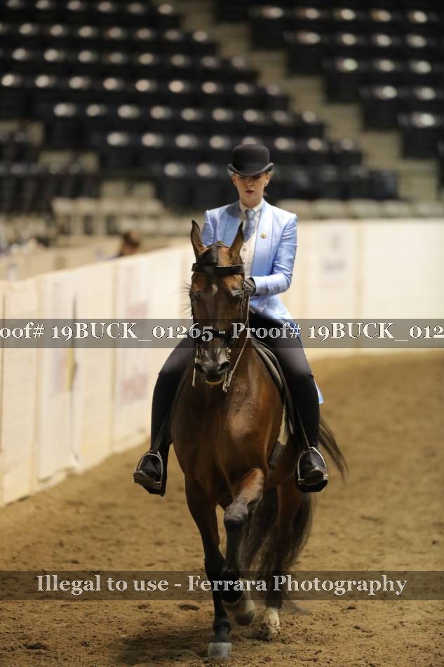Proof 19BUCK_01265