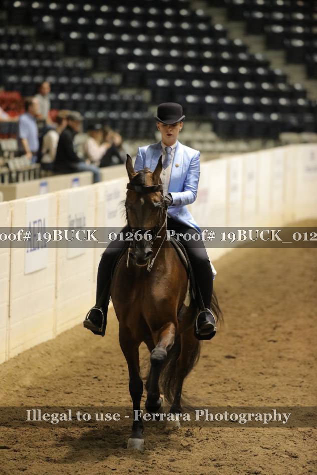 Proof 19BUCK_01266