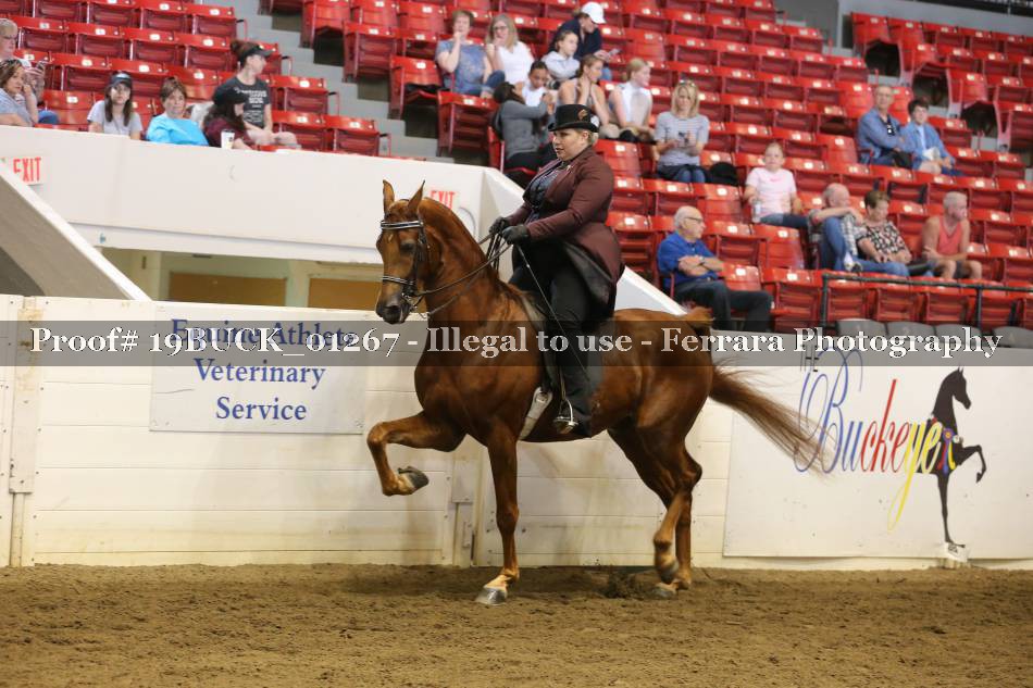 Proof 19BUCK_01267