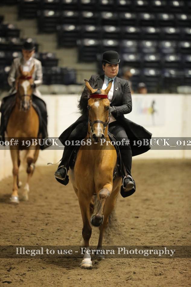 Proof 19BUCK_01268