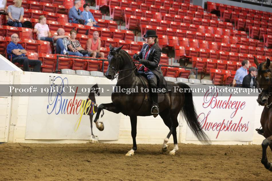 Proof 19BUCK_01271