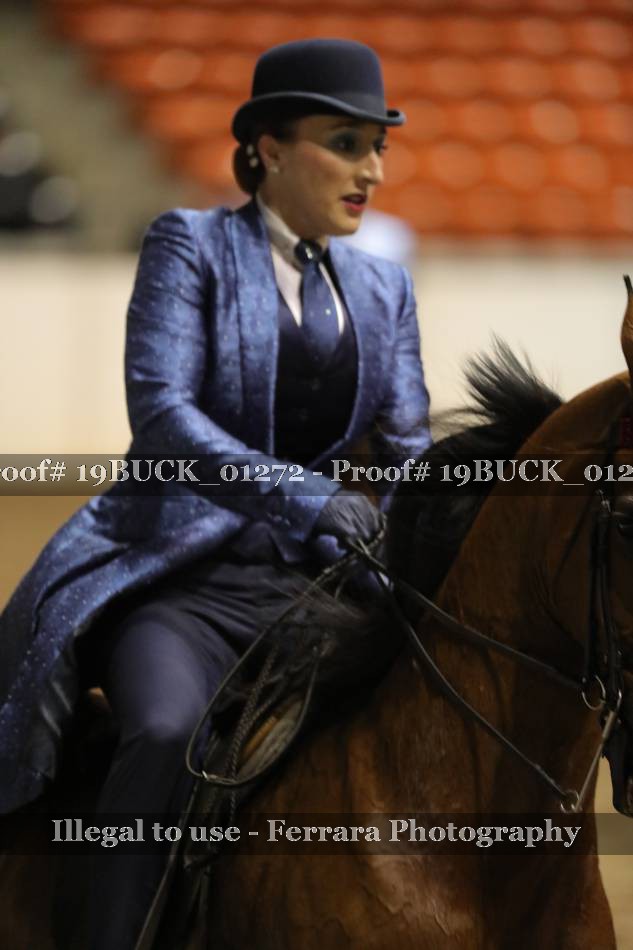 Proof 19BUCK_01272