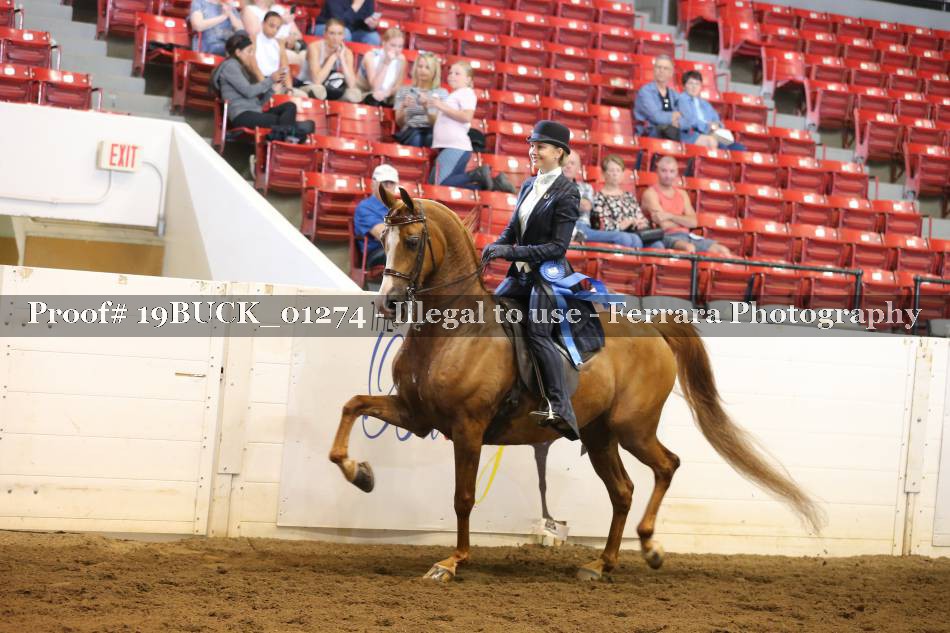 Proof 19BUCK_01274