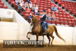 19BUCK_01274 proof