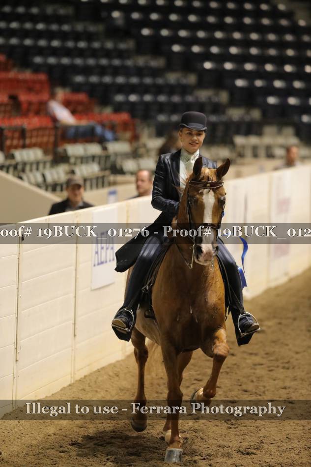 Proof 19BUCK_01276