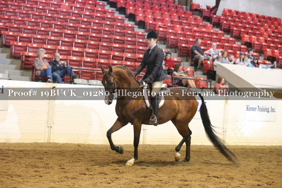 Proof 19BUCK_01280