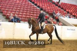 19BUCK_01280 proof