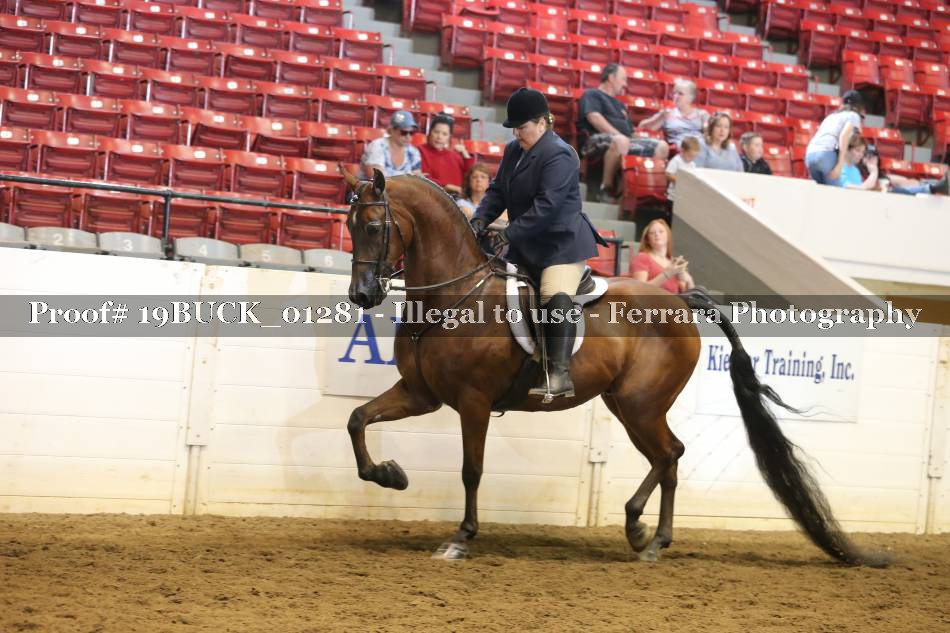 Proof 19BUCK_01281