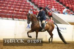 19BUCK_01281 proof
