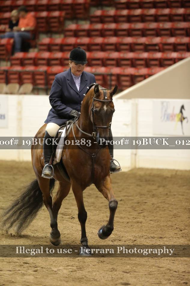 Proof 19BUCK_01283
