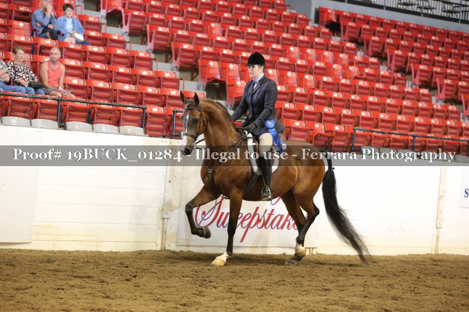Proof 19BUCK_01284